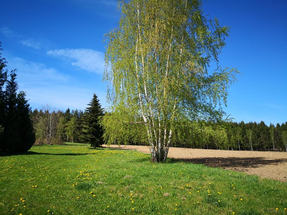 Ferienwohnungen 1 Bis 4 "Pumphut'S Scheune" Lengenfeld  Exterior foto